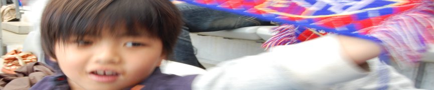 Random header image... Refresh for more!